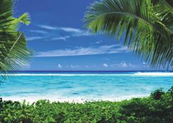 stellwand_mit_strand_motiv_trennwand.jpg